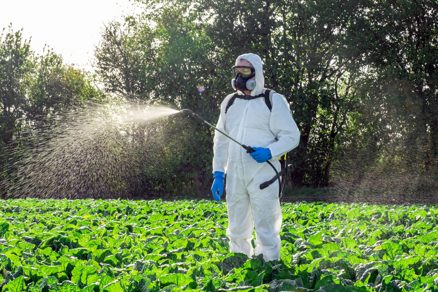 What Pest Control Experts Want You to Know in 2025