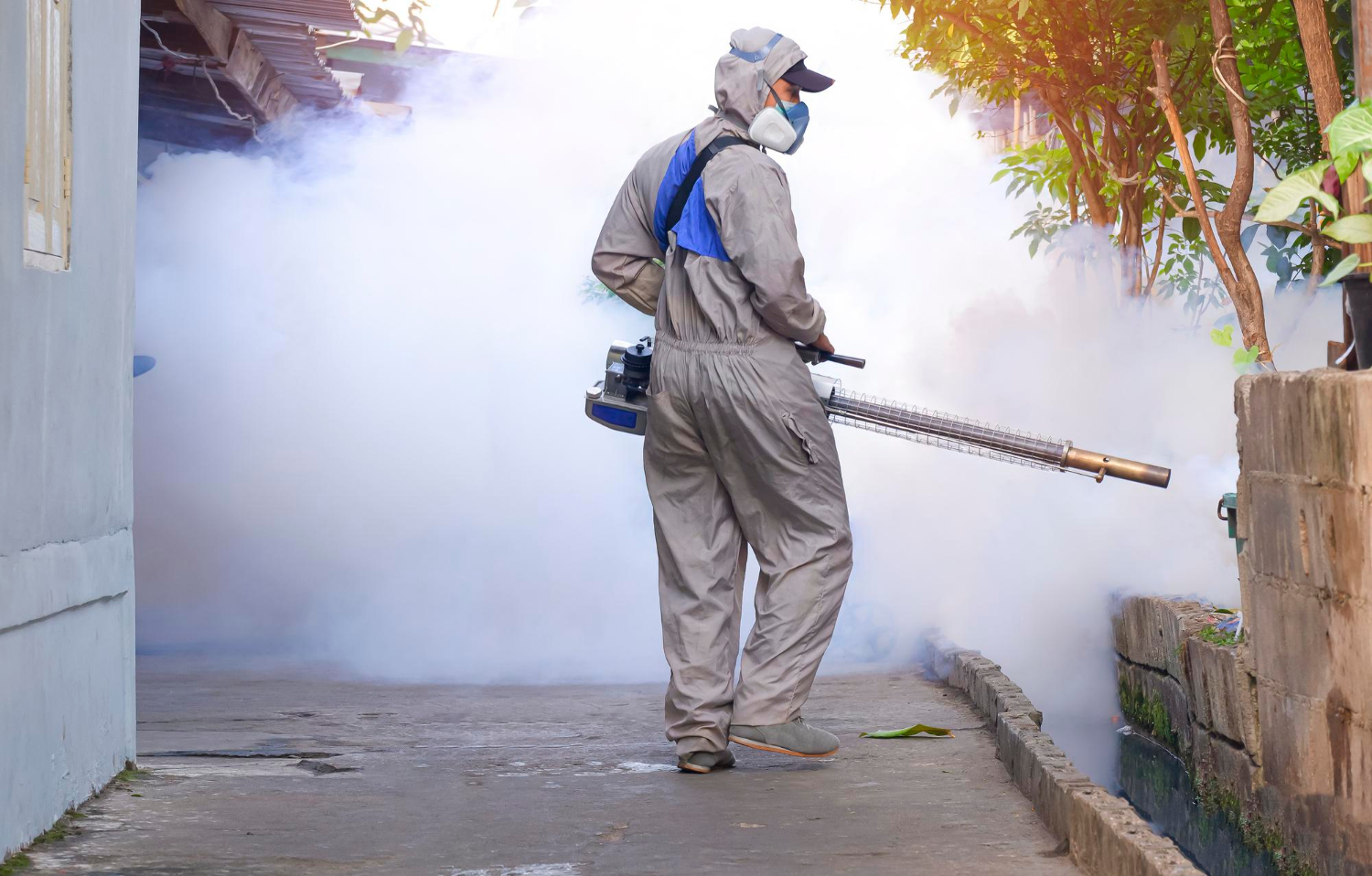 Special Pest Control Services for the Monsoon