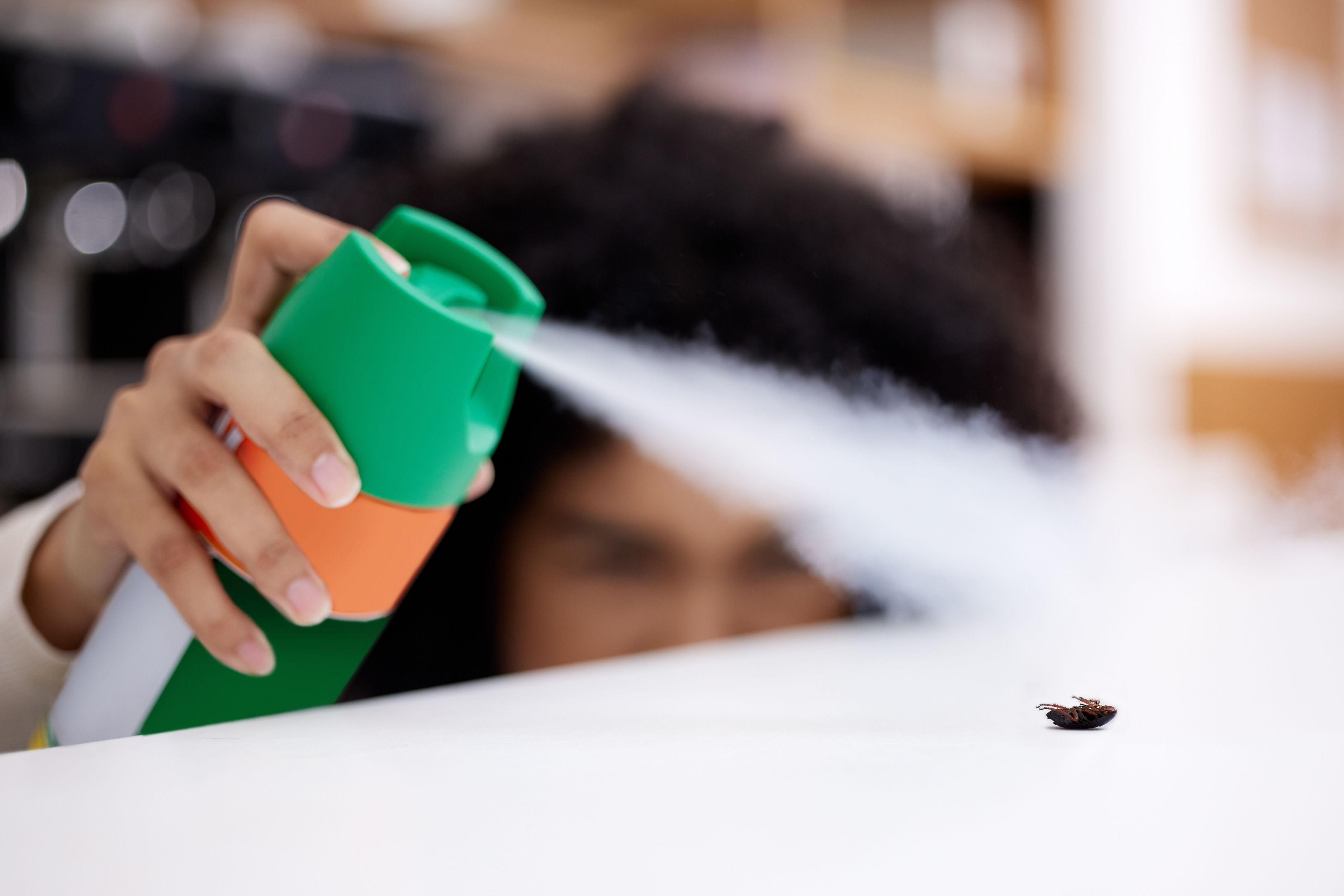 Special Monsoon Pest Control Solutions 