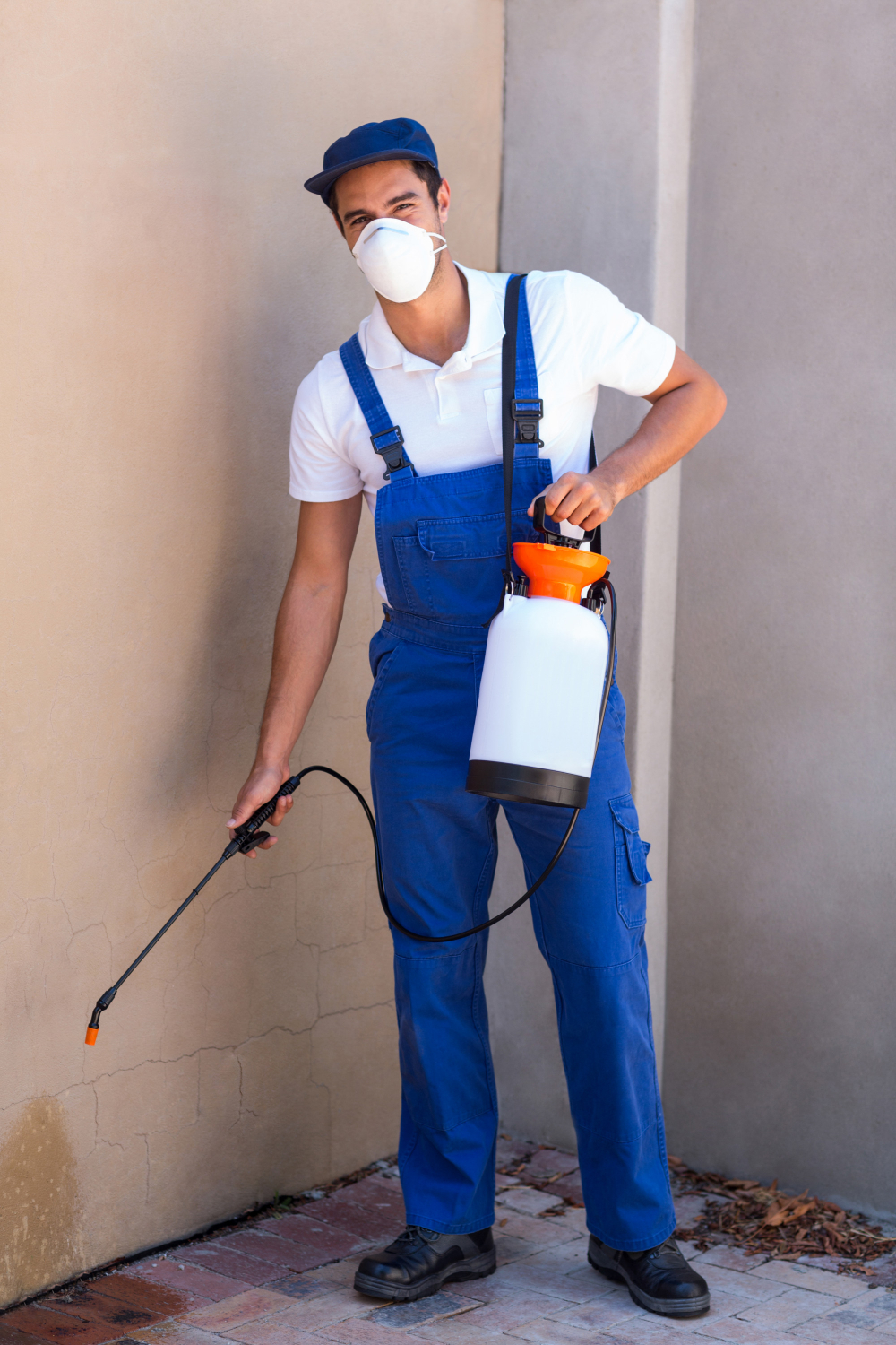 Why Termites Are More Active During the Monsoon: Preventative Tips