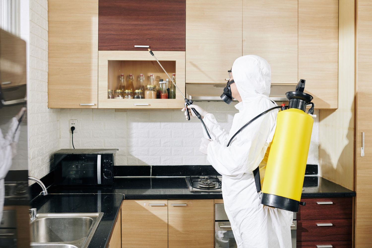 Top 5 Reasons to Hire a Professional Pest Control Service in Kochi Before Monsoon