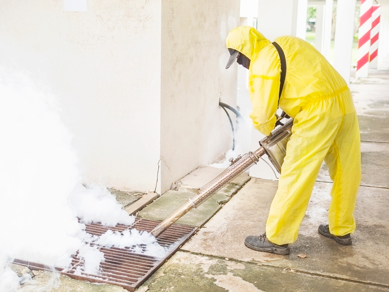Why Pest Control in Kochi Is Essential for Coastal Homes