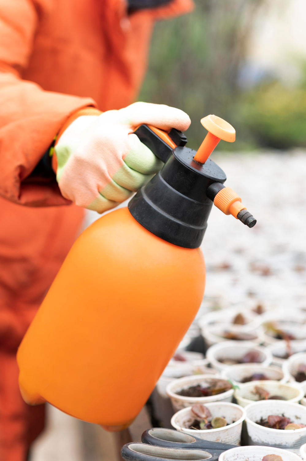 Eco-Friendly Pest Control Services in Kochi: What You Should Know
