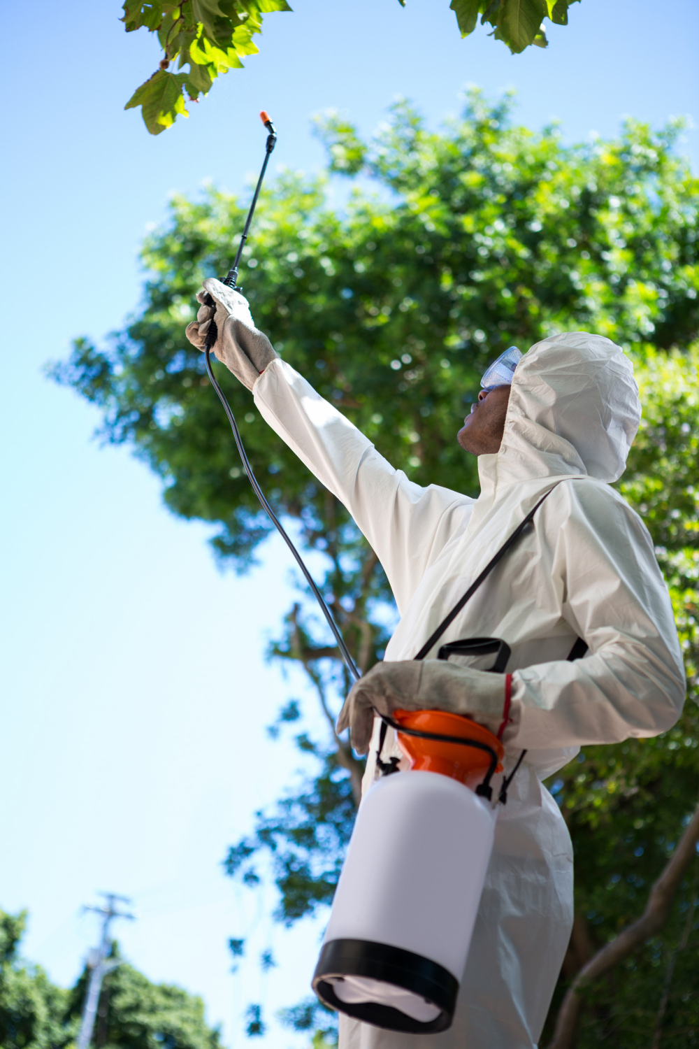 Top-Rated Pest Control Companies in Kochi: 2025 Review Round-Up