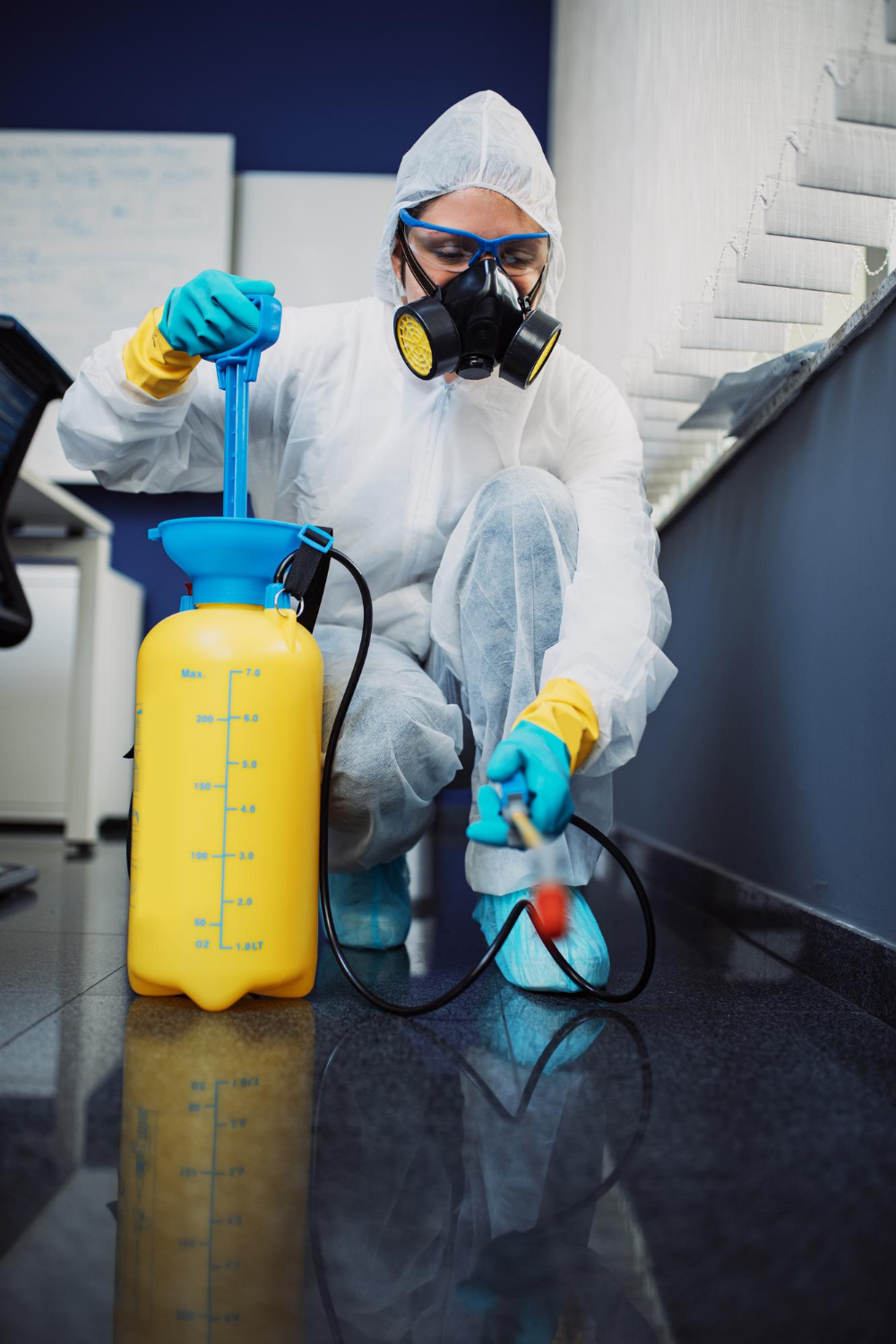 Best Pest Control Service in Kochi for Homes & Businesses: What to Look For"
