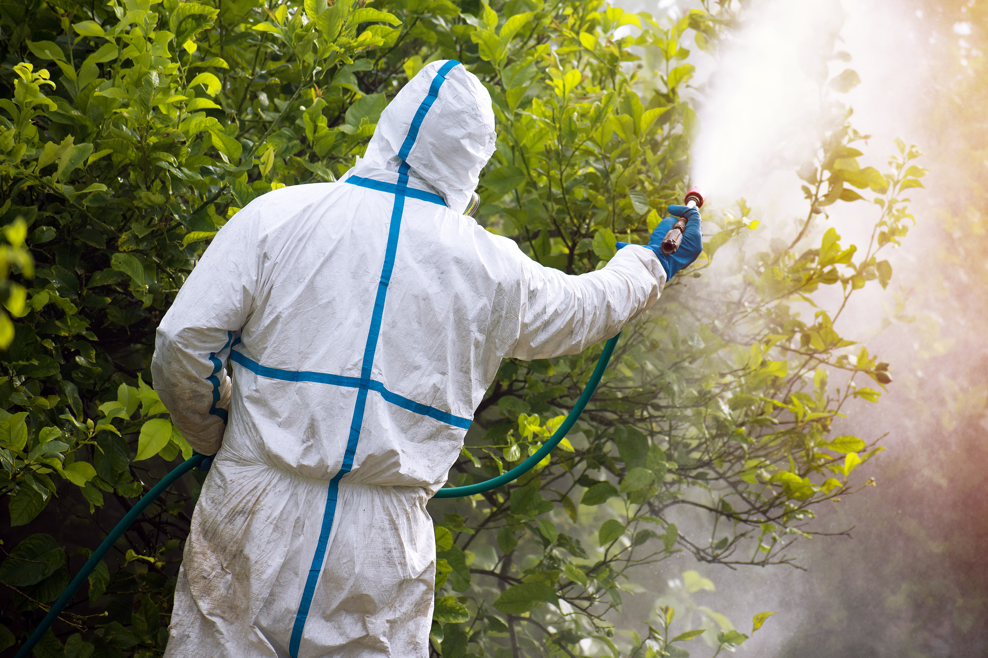 Top 7 Reasons to Hire Professional Pest Exterminators in Kochi