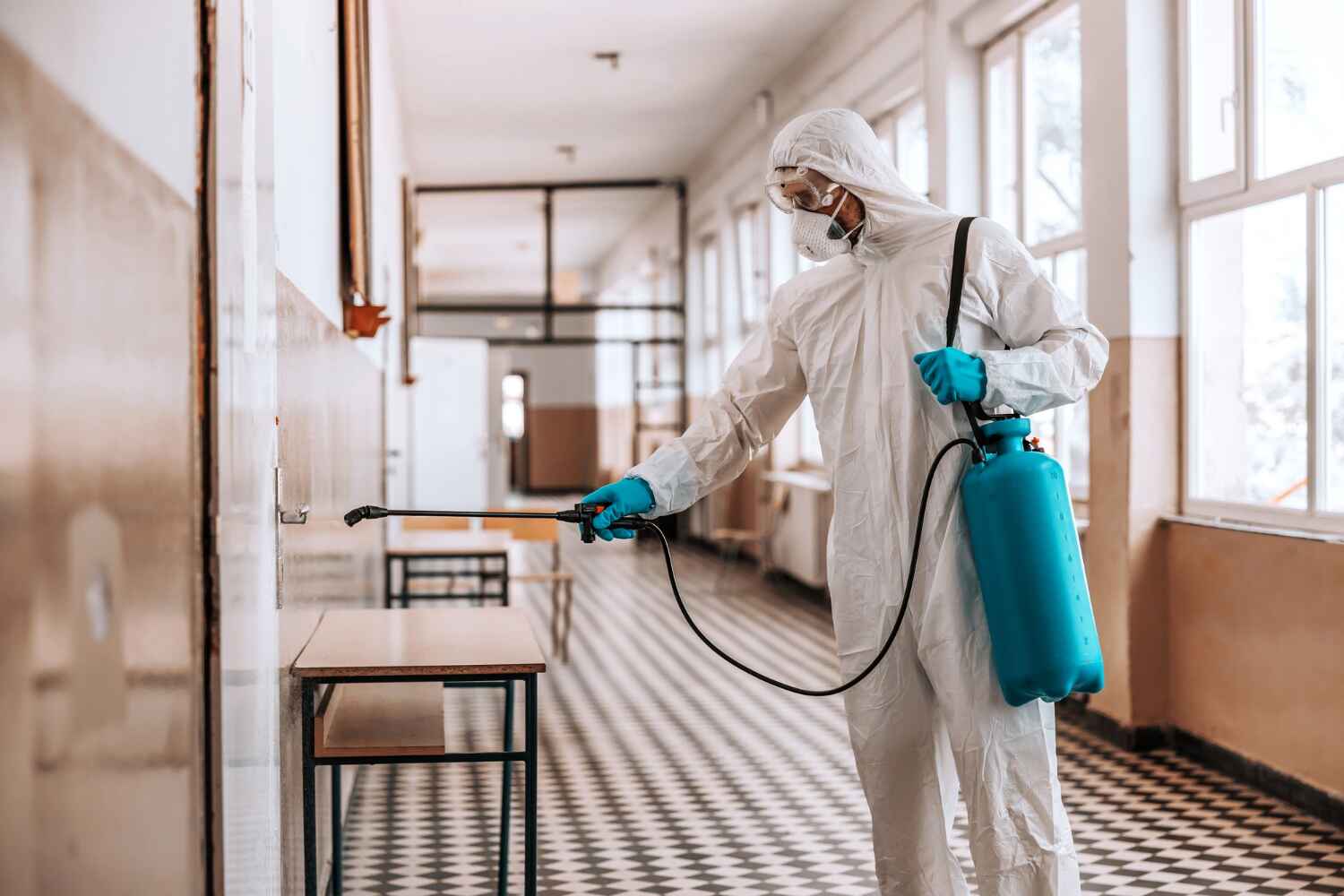 Essential Pest Control Tips for Indian Homes
