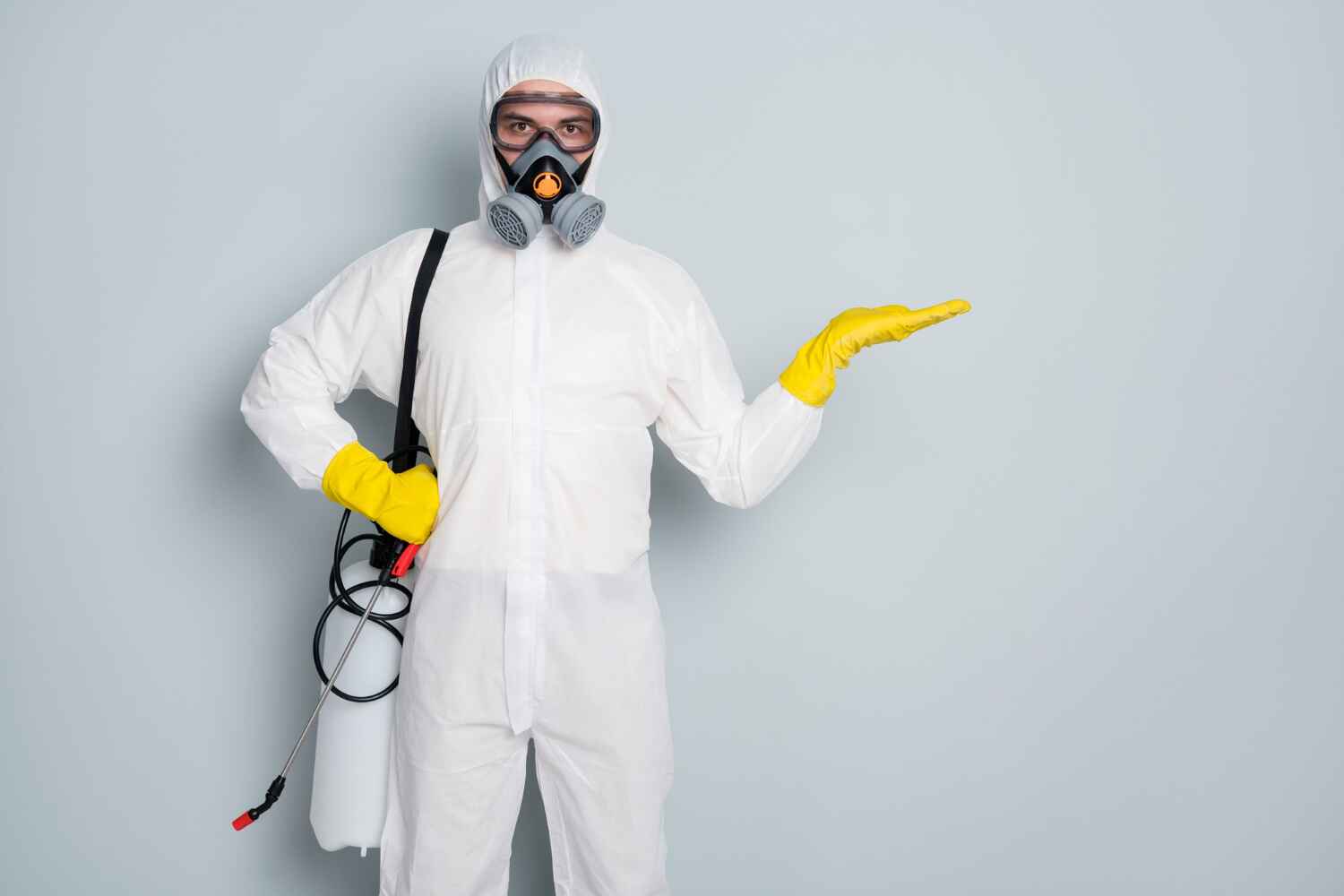 Don’t Wait for the Bite: Why Pest Exterminators Kochi Recommend Regular Inspections