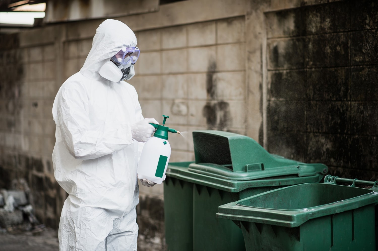 Organic Pest Control: Is It as Effective as Chemical Treatments?